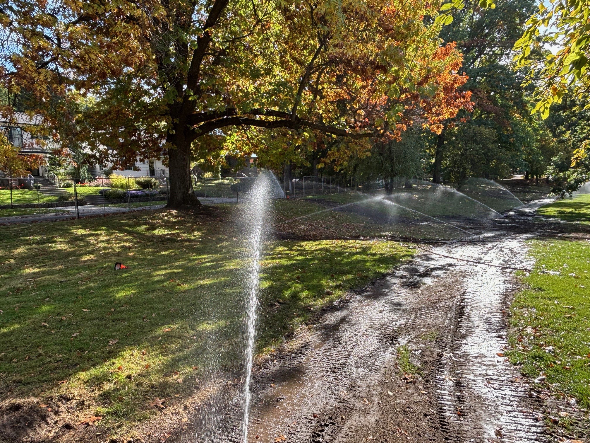 An image of new automated irrigation watering Cannon Hill Park